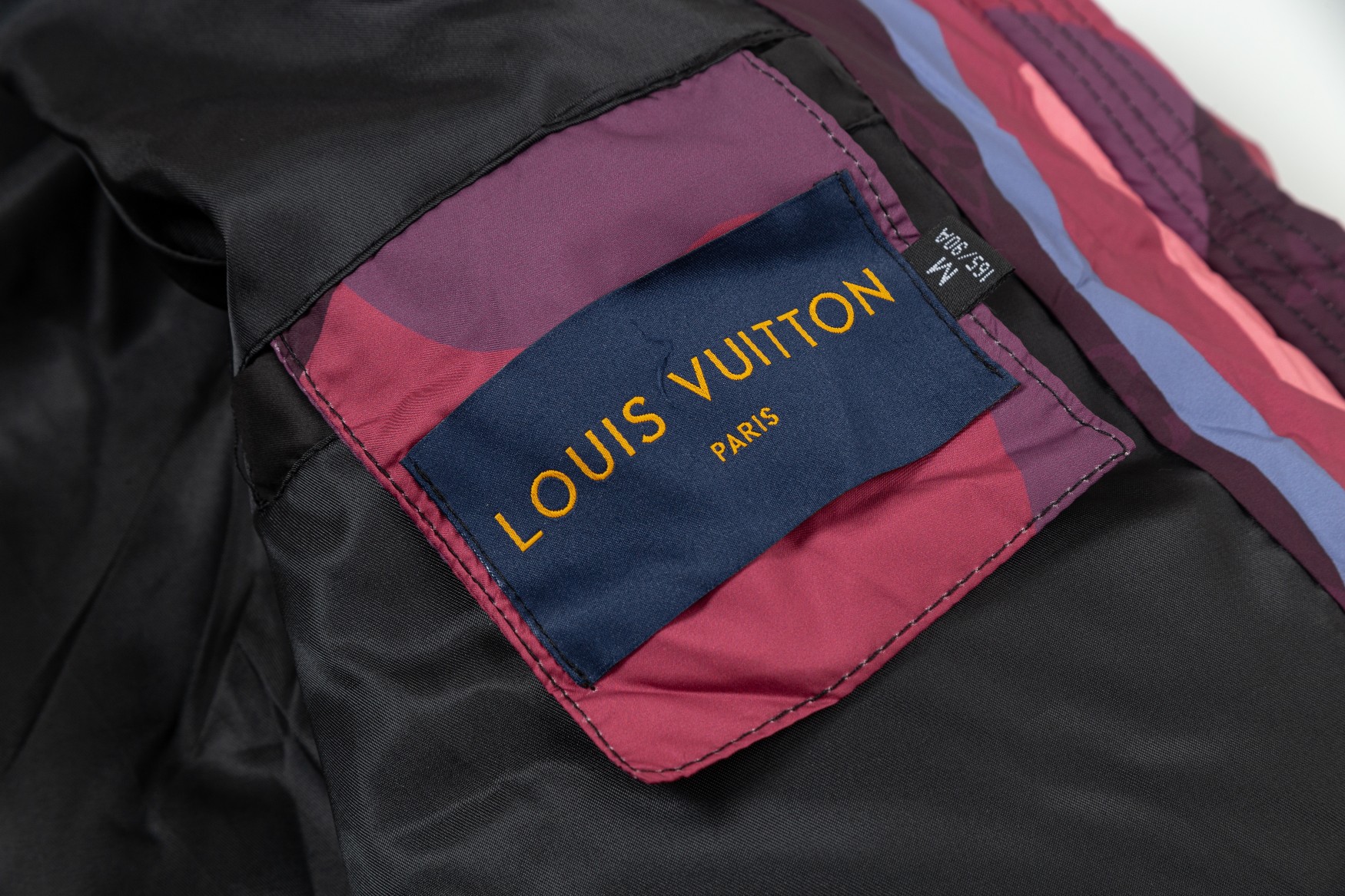 Louis Vuitton Down Jackets